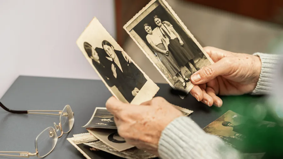 como montar arvore genealogica