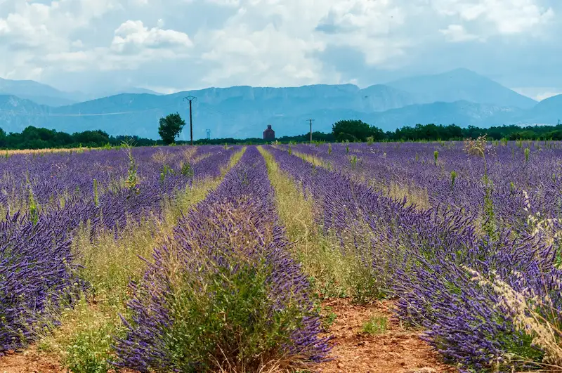 sobrenomes franceses