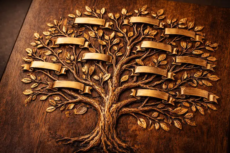 Origem dos sobrenomes pelo mundo