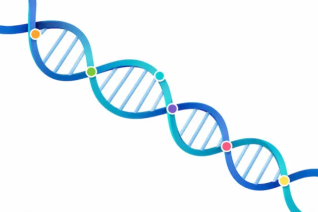 Como interpretar resultado de teste de DNA
